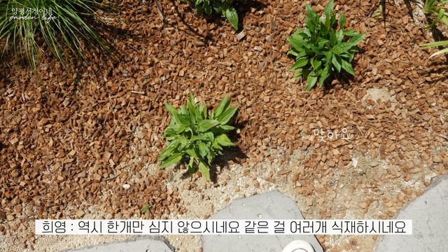 [남의집정원구경] 인생2회차? 아니 정원2회차!! 아이를 위해 안전한 정원으로 리노베이션했어요 смотреть онлайн