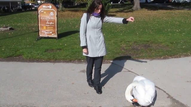 Словения. Путешествие на осенний Блед #56 смотреть онлайн