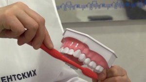 Урок здоровых зубов для дошкольников и учащихся 1-4 классов