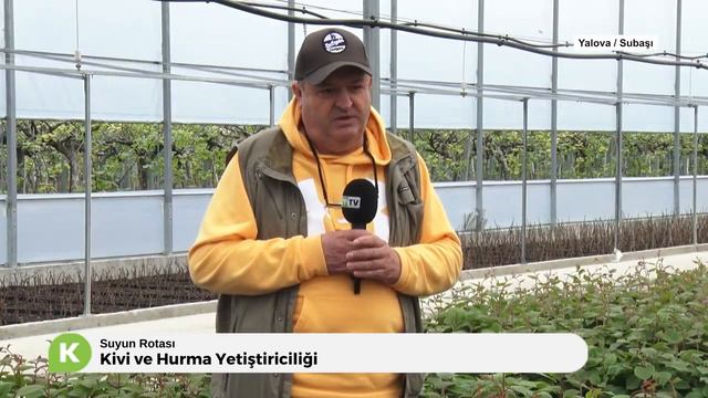 KİVİ VE HURMA YETİŞTİRİCİLİĞİ смотреть онлайн