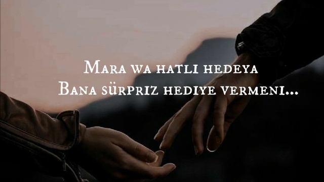Fi Hagat- I Love You (Cover) (Türkçe Çeviri-Lyrics) #cover #lyrics#çeviri#music смотреть онлайн