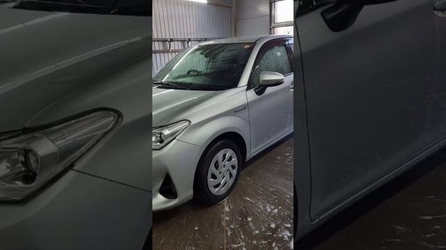 Пробить Toyota Corolla Fielder 2019 по аукционнику и номеру кузова смотреть онлайн