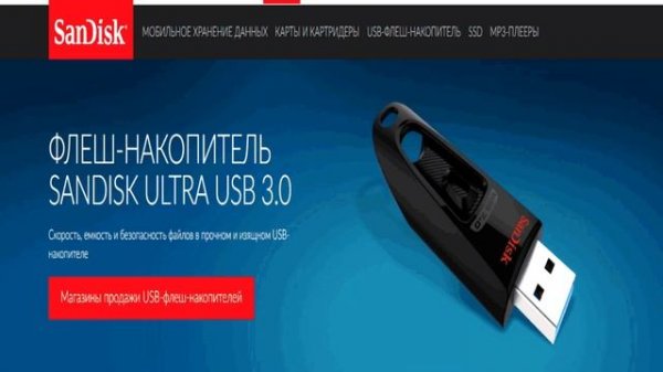 Флешка SanDisk