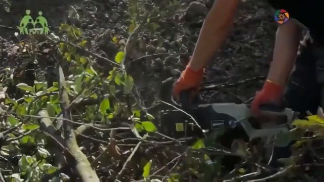 Рекордный урожай без полива Грядка Хольцера 2