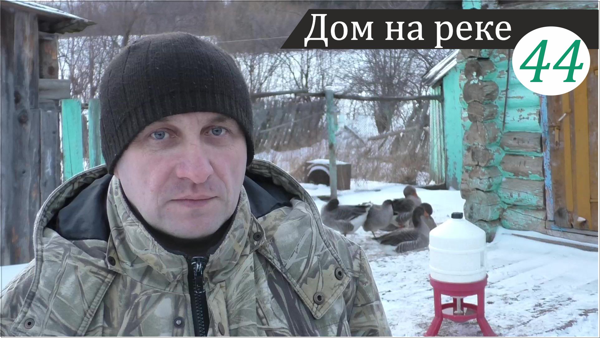 Содержание гусей в деревне. Дом на реке, часть 44 смотреть онлайн