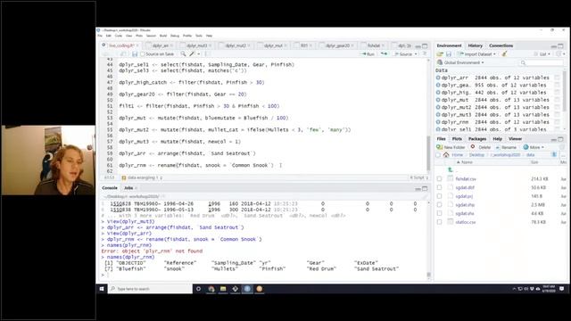 Lesson 2: Data Wrangling Part 1 смотреть онлайн