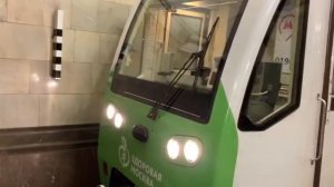 Тематические поезда метро Москвы #4