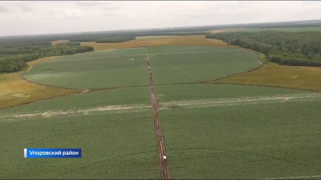 Первый урожай капусты собрали в Упоровском районе смотреть онлайн