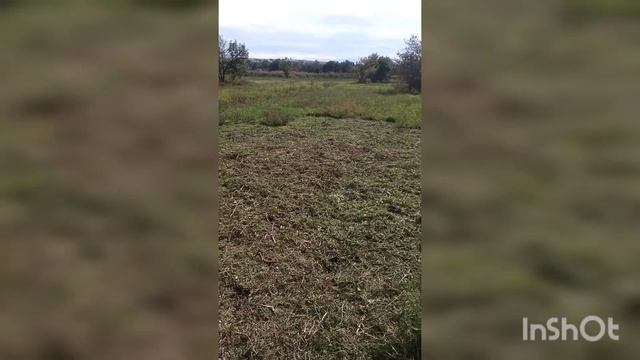 Вышло солнце, занят, чищу огород! смотреть онлайн