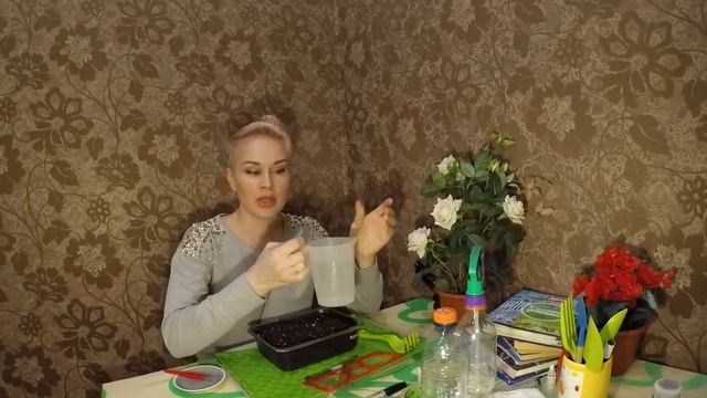 ПЕЛАРГОНИЯ (ГЕРАНЬ) ПОСЕВ СЕМЯН. СЕЗОН 2019. смотреть онлайн