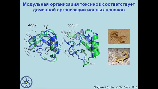"Ядовитый" семинар часть IV. "Кое что... про паучков" смотреть онлайн