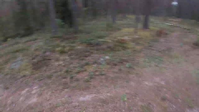 Эндуро покатушки.Kayo t2, Ирбис ттр 250, альфа 110. смотреть онлайн