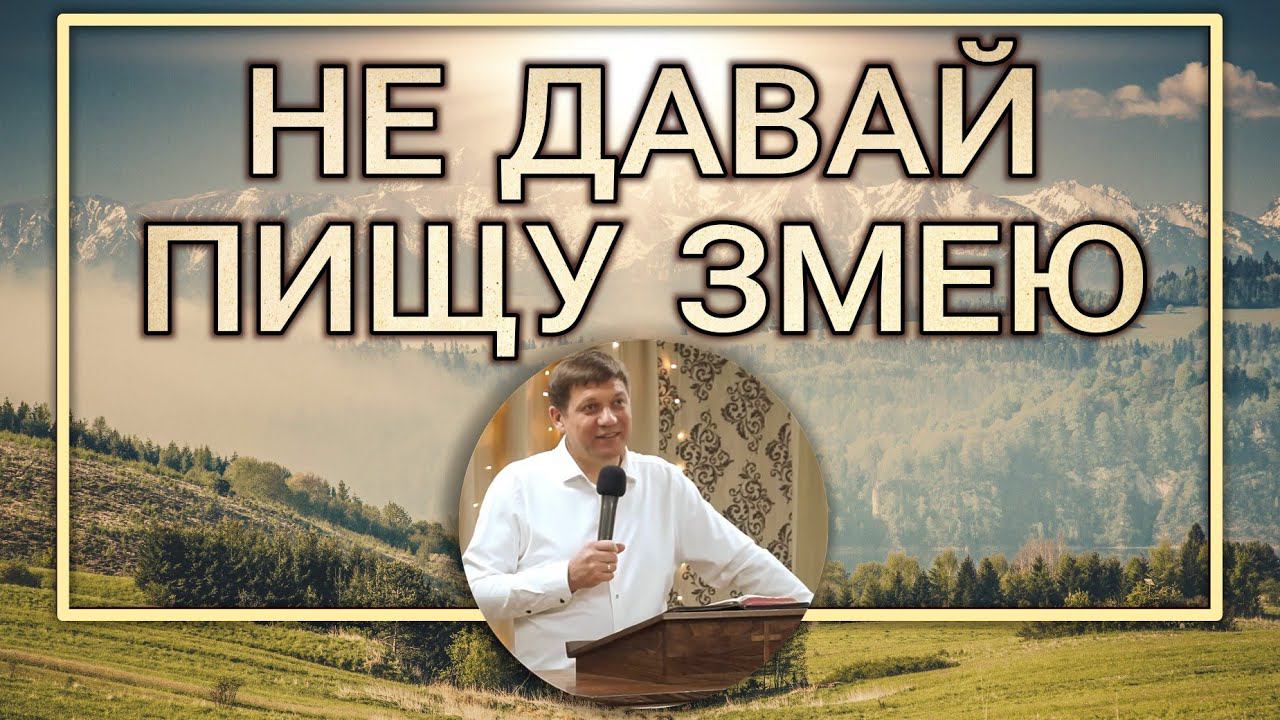 Не давай пищу змею (цена маленькой погрешности). смотреть онлайн
