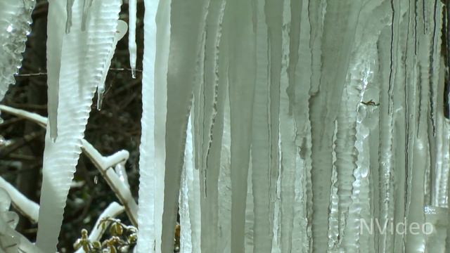 Весна в Крыму! смотреть онлайн