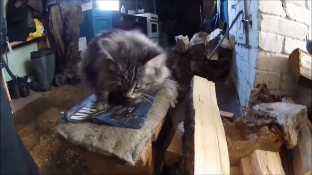 Метеостанция «Таганай-гора». Выход в открытый космос смотреть онлайн