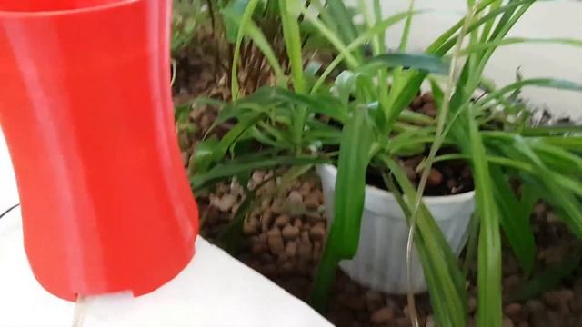 Автоматический полив комнатных растений