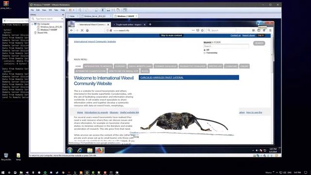 Demo Proxy Server смотреть онлайн