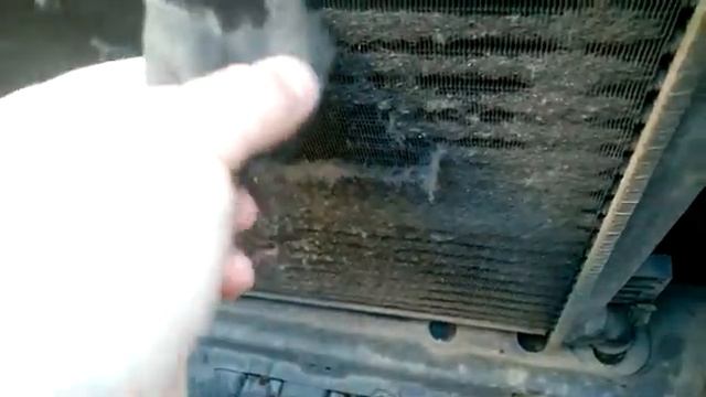 Тополиный пух в радиаторе смотреть онлайн