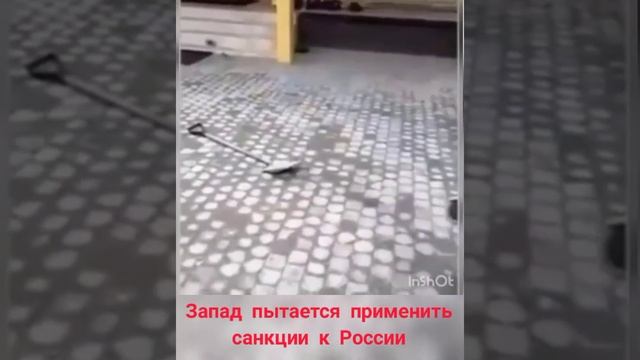 Минутка юмора. Мальчик с лопатой. смотреть онлайн