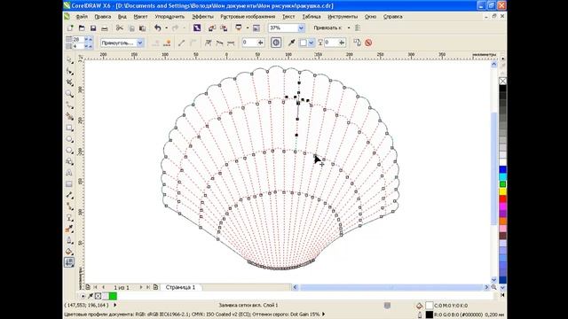 Как нарисовать раковину моллюска в CorelDRAW смотреть онлайн