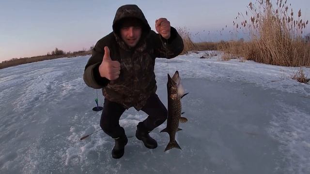 Рыбалка на жерлицы.Щука на живца.Отдых с ночевкой в палатке на реке Волга. смотреть онлайн