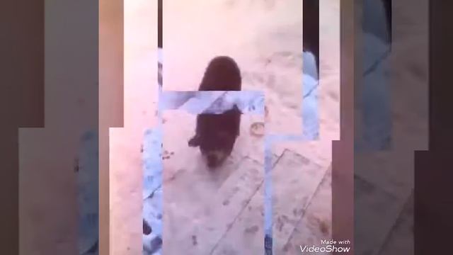 Как хороша дачная жизнь. смотреть онлайн