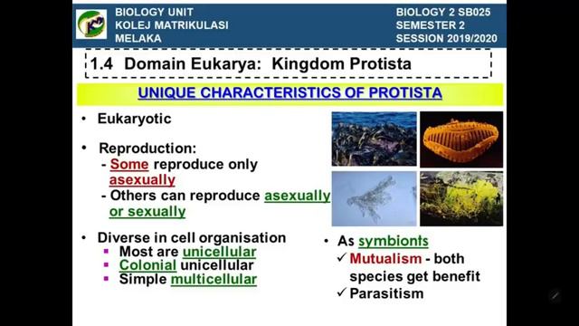 Tutorial 1.1 to 1.5 (CHAPTER 1 BIODIVERSITY) смотреть онлайн