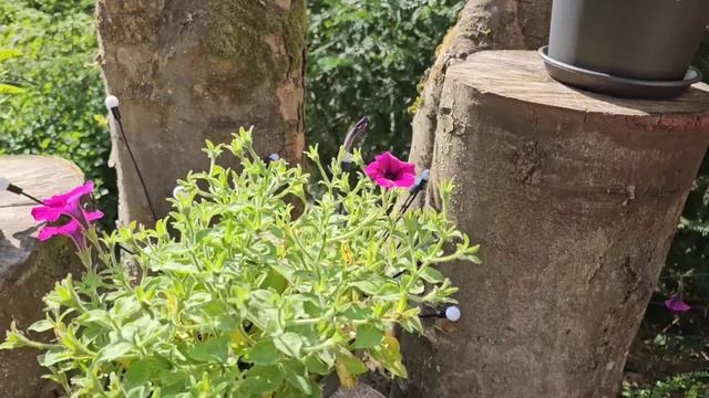 КАК ПОБОРОТЬ СТРАХ ЛЕТАТЬ НА САМОЛЁТЕ. ЖАРА ЗАСУХА И НЕТ ВОДЫ. ЖИЗНЬ В ГЕРМАНИИ. смотреть онлайн