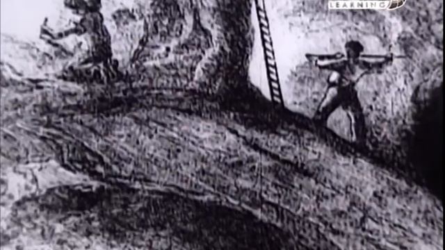 Радиоактивность. Открытие и применение. смотреть онлайн