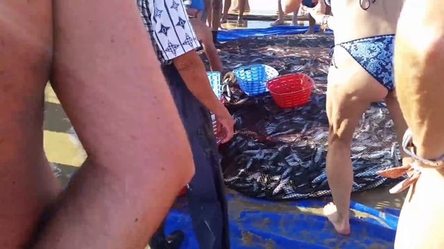 Costa de Caparica // Almada // Portugal fish // Рыбалка в капарике, возле лиссабона смотреть онлайн