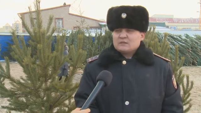 Астана. Не рубите елку! смотреть онлайн