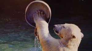 Выпуск 13 декабря 2014 г.