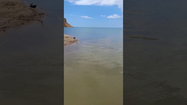 Устье реки Альма. Песчаное, Крым. смотреть онлайн