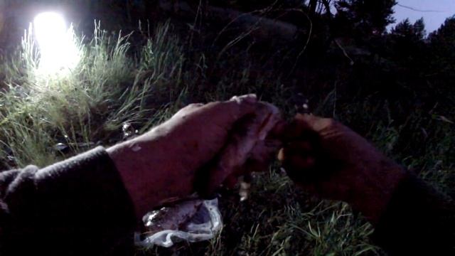 ловля окуня/уха/ конец нерестового запрета на реках смотреть онлайн