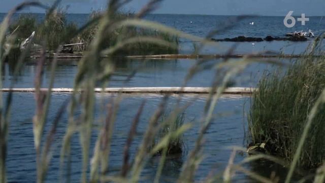 Щука в Ангарском соре. Окунь на рожнах | Рыбалка на Северном Байкале | Nord Baikal смотреть онлайн