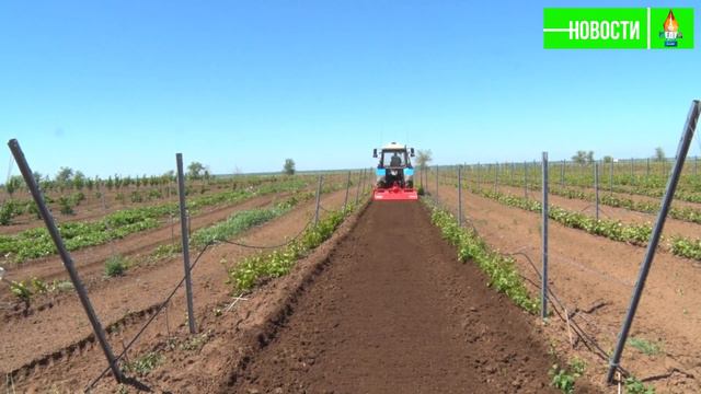 Сельскохозяйственная техника компании ХАДИ (HADI) в ВолГАУ