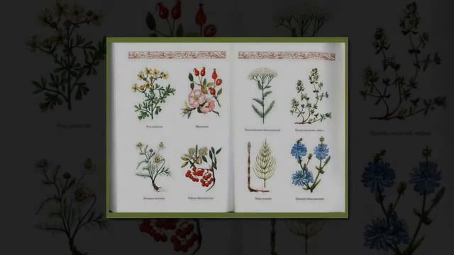 Виртуальная выставка Экология и здоровье человека в вопросах и ответах смотреть онлайн