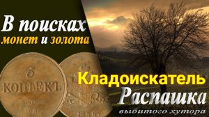 Поиск монет на распаханных поселениях ?