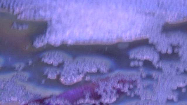 (2)ПЕТУШКИ.ПОЧЕМУ ИКРА НА ДНЕ? смотреть онлайн