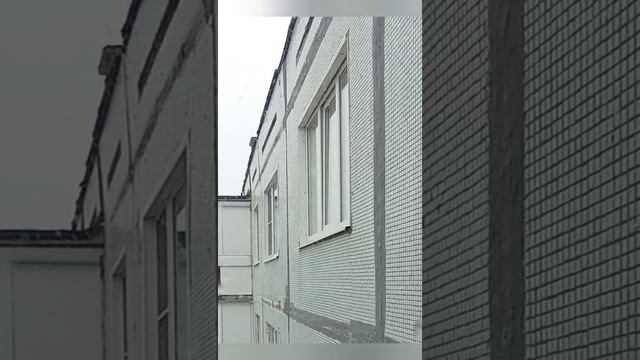 Видео полное того что можно увидеть на улице 😁 смотреть онлайн