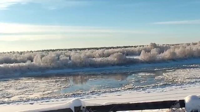 Перовы// Рожа Нюры при встрече мамы выдала ее с потрохами// Обзор видео//