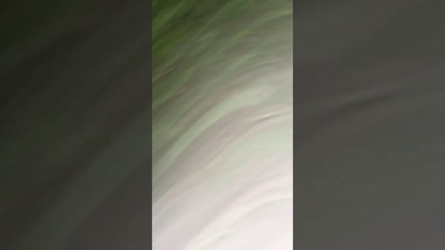 я не знаю кто это поставьте лайк пж смотреть онлайн
