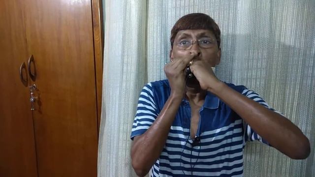 Khil Te Hain Gul Yaha-Seydel Deluxe Steel Harmonica Cover смотреть онлайн