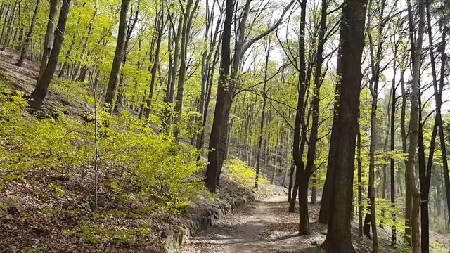 Карловы Вары достопримечательности (karlovy vary) : Часть #3 - смотровые площадки #Авиамания смотреть онлайн