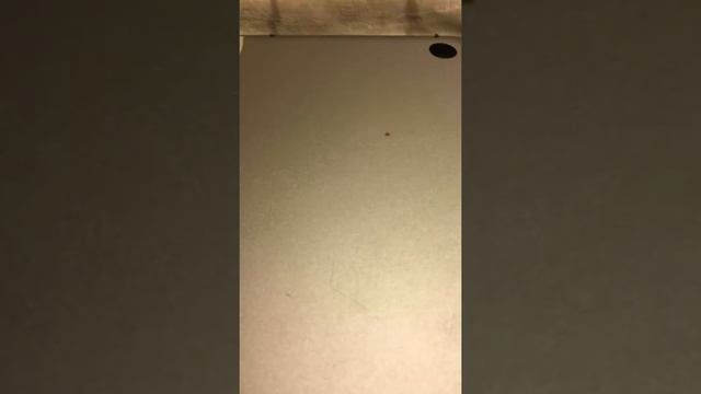 MacBook pro white screen смотреть онлайн