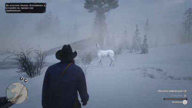 Новая лошадь смотреть онлайн