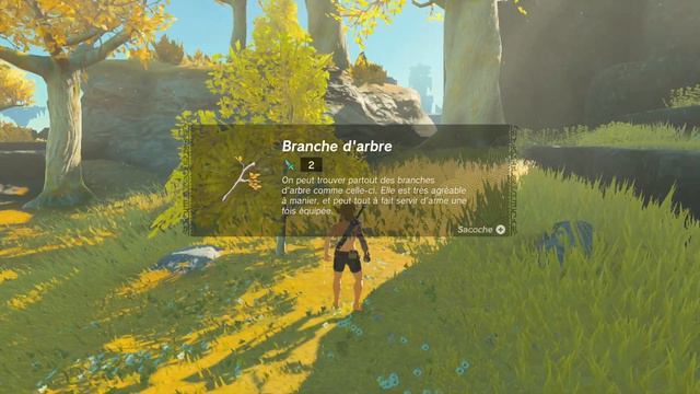 ZELDA : TEARS OF THE KINGDOM - PART 1 - SWITCH FR - LET'S PLAY FRANCAIS смотреть онлайн