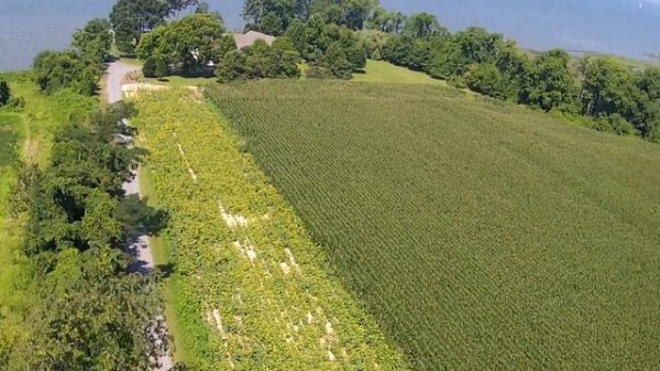 Sunset Lodge   Summer Drone