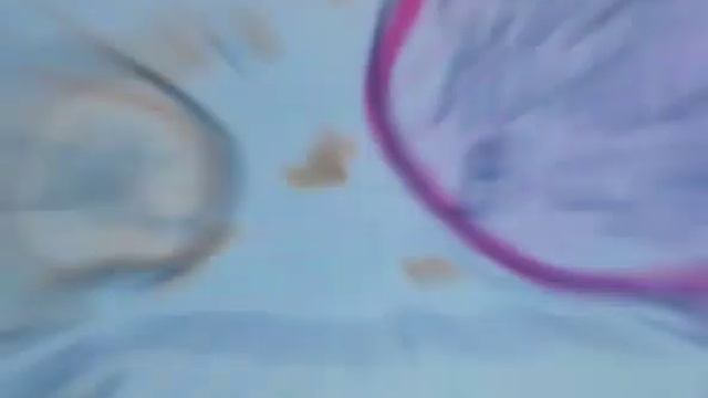 Комикс: Цыплята путешественники 2 с логикой смотреть онлайн