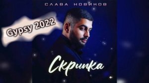 Слава Новиков  Скрипка ?